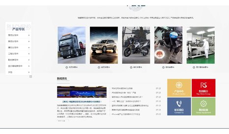 品牌形象網(wǎng)站案例-瑞振集團(tuán)